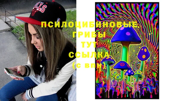 стафф Гусиноозёрск